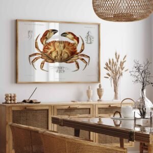 31 modernus paveikslas valgomajame - Dungenso krabas – Albert I