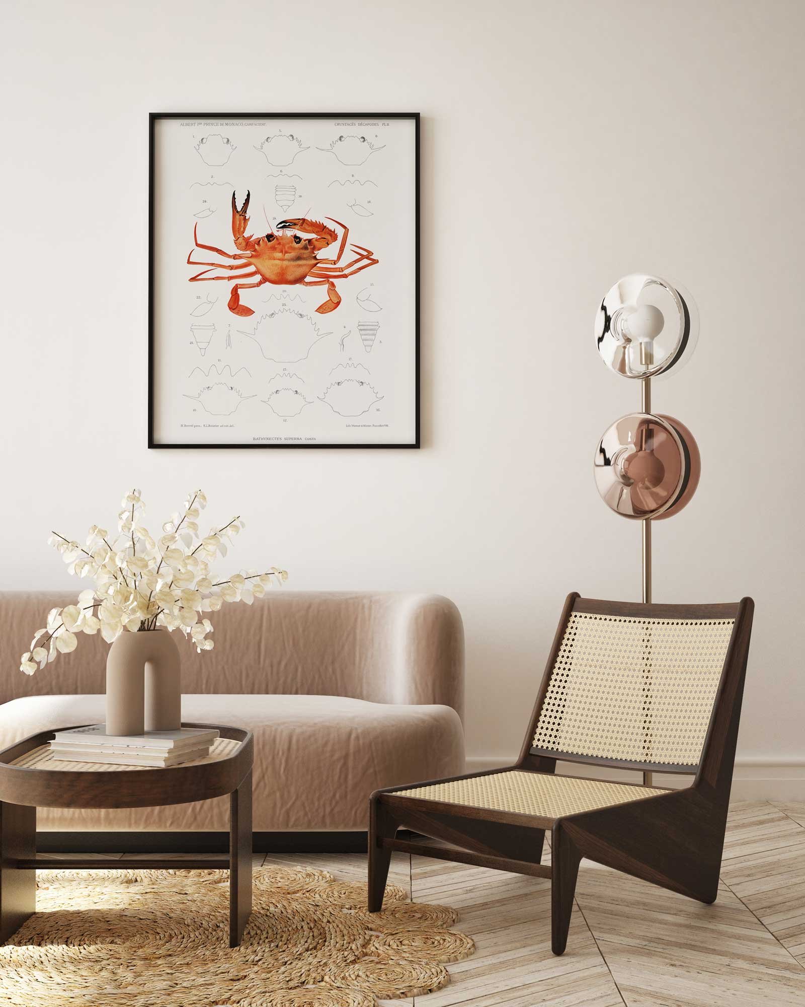 33 raudonas paveikslas minimalistinis - Vakarų Afrikos krabas – Albert I