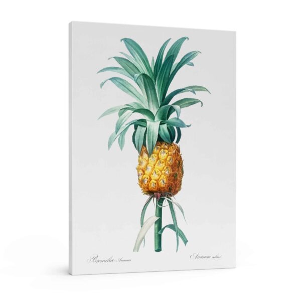 35 Geltonas ananasas - Pierre-Joseph Redouté paveikslas