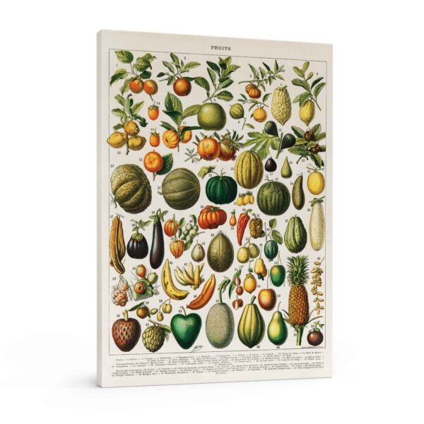 98 paveikslas virtuvei - Vaisių ir daržovių infografikas
