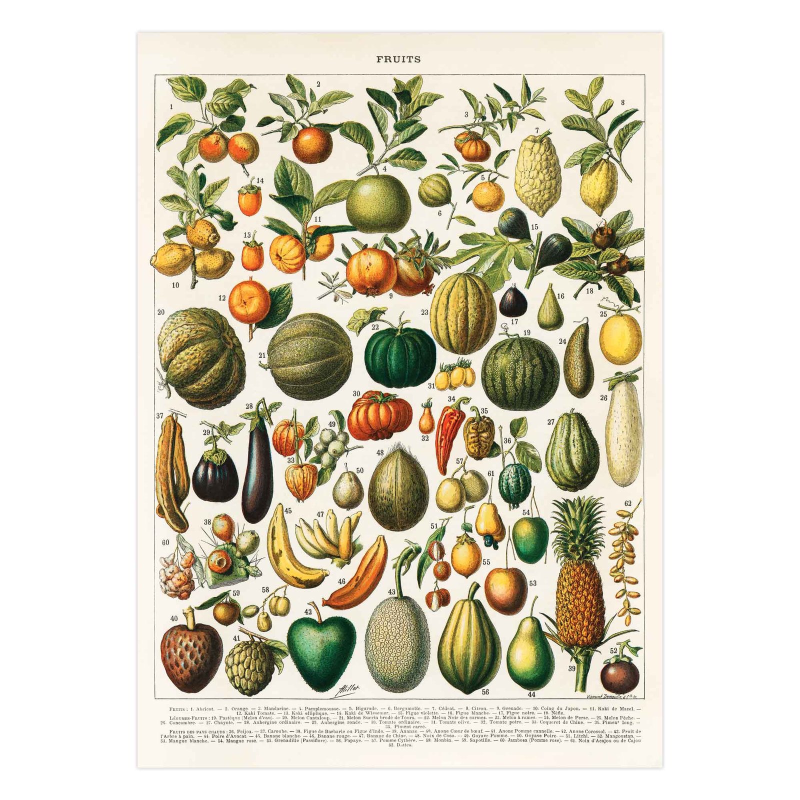 98 paveikslas virtuveje ant drobes - Vaisių ir daržovių infografikas