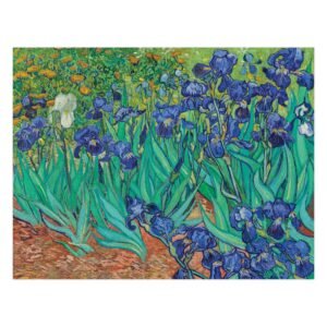 123 avangardinis paveikslas - Irisai - Vincentas van Gogas