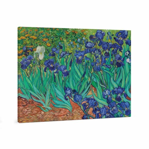 123 modernus paveikslas - Irisai - Vincentas van Gogas