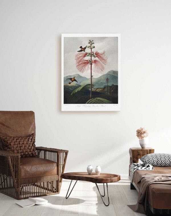 50 ant droves paveikslai internetu - Stambiažiedė mimoza - Robert John Thornton