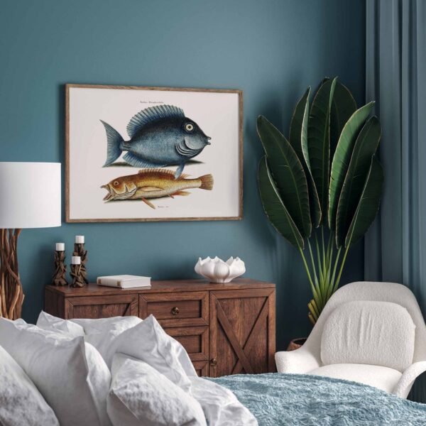 57 iremintas paveikslas ant melynos sienos miegamajame - Chrirurgžuvė ir geltonoji žuvis - Mark Catesby