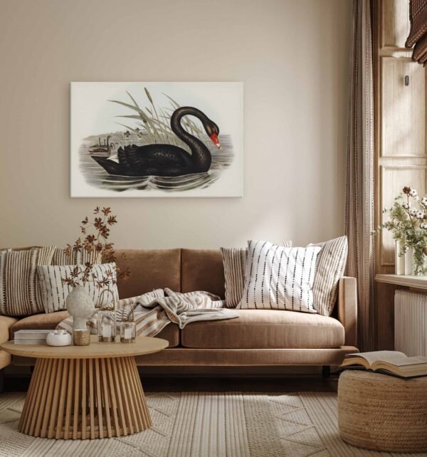 74 didelis paveikslas ant drobes - Juodoji gulbė - Elizabeth Gould
