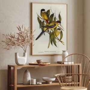 76 paveikslas su pauksciais namuose - Juodagalvė rozela - Elizabeth Gould