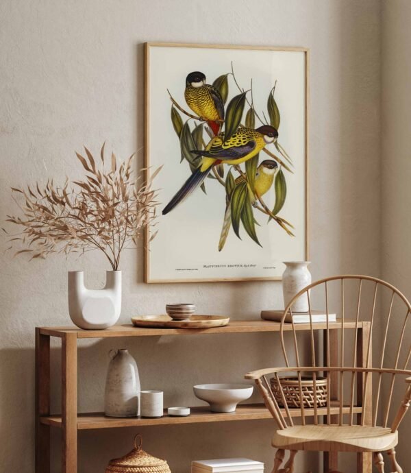 76 paveikslas su pauksciais namuose - Juodagalvė rozela - Elizabeth Gould
