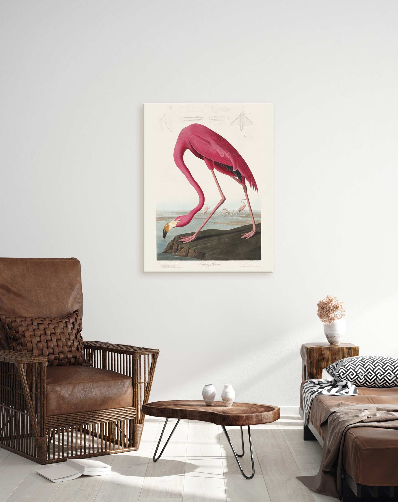 81 klasikinis paveikslas - Rožinis flamingas - John James Audubon
