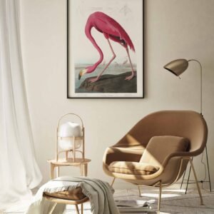 81 paveikslas namuose gamta - Rožinis flamingas - John James Audubon