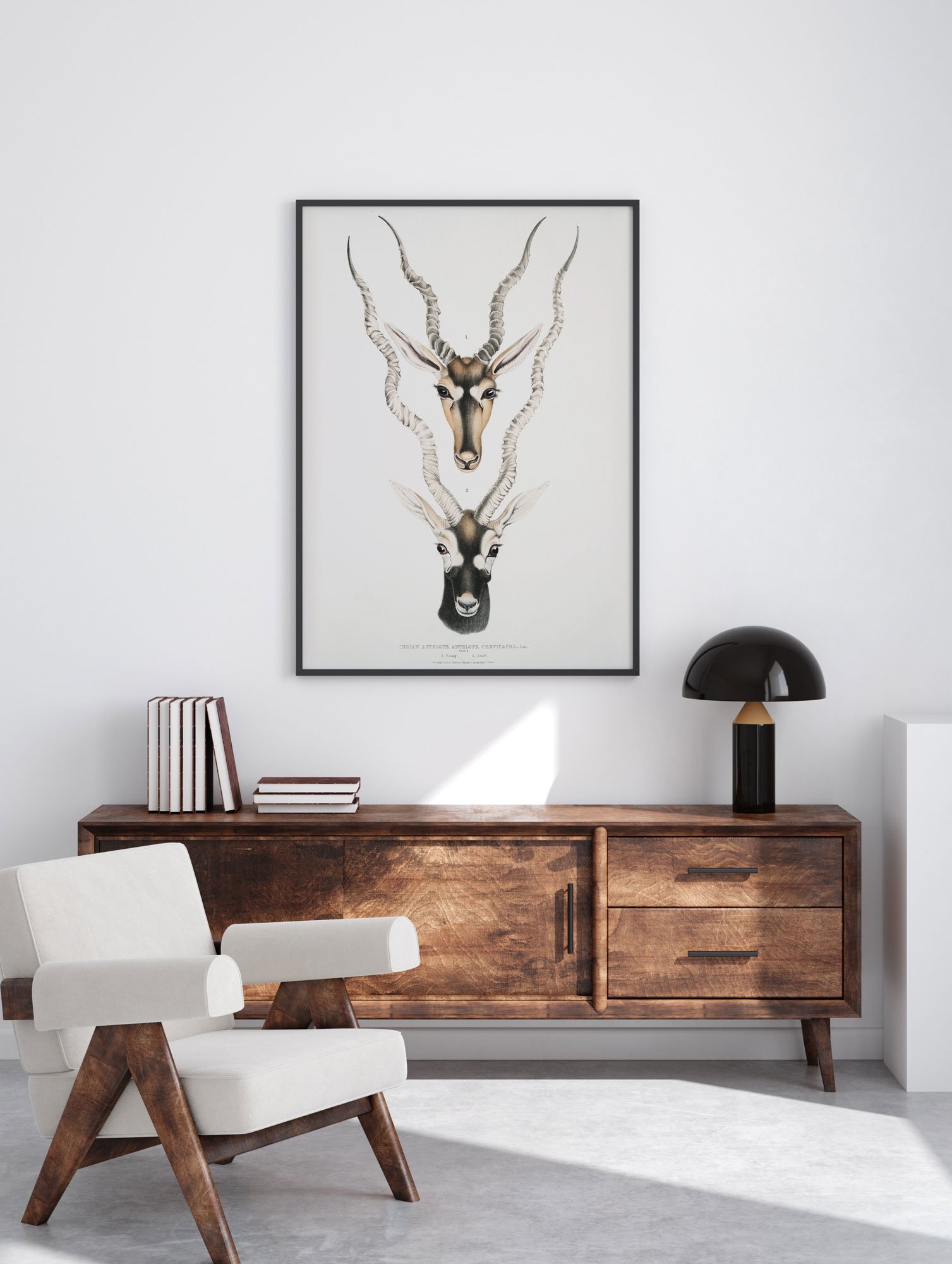 82 minimalistinis paveikslas - Indijos antilopė - John Edward Gray