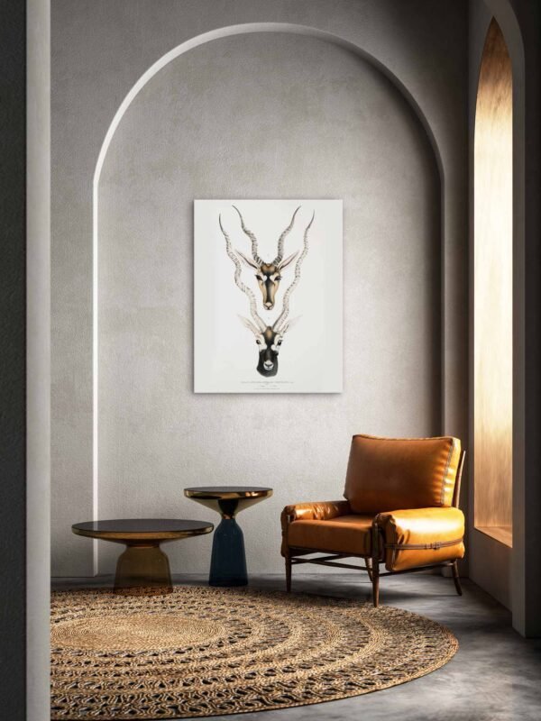 82 modernus paveikslas namuose - Indijos antilopė - John Edward Gray