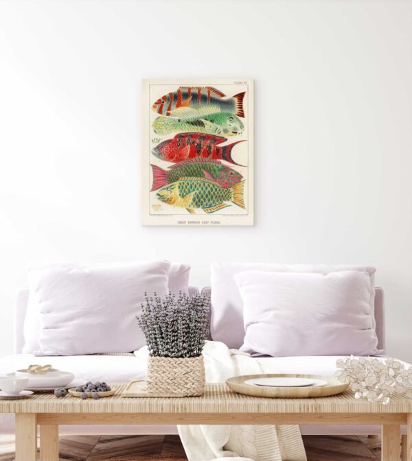 83 unikalus paveikslas - Didžiojo barjerinio rifo žuvys - William Saville-Kent