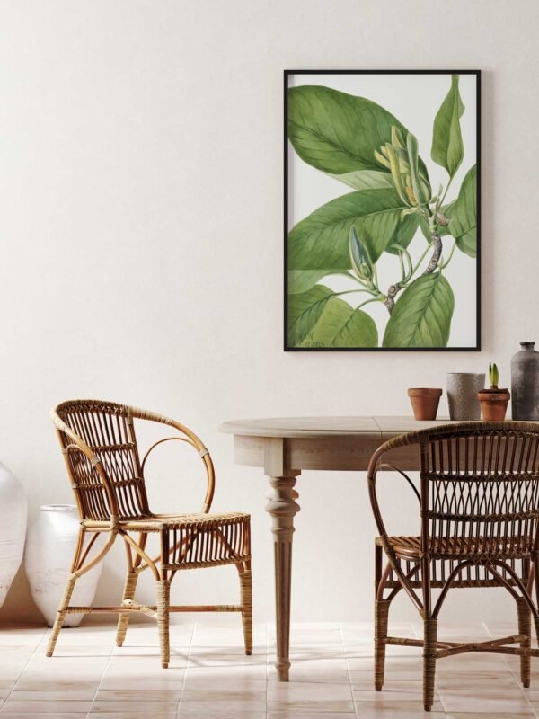 181 geriausi paveikslai ant sienos - Agurkinė magnolija - Mary Vaux Walcott