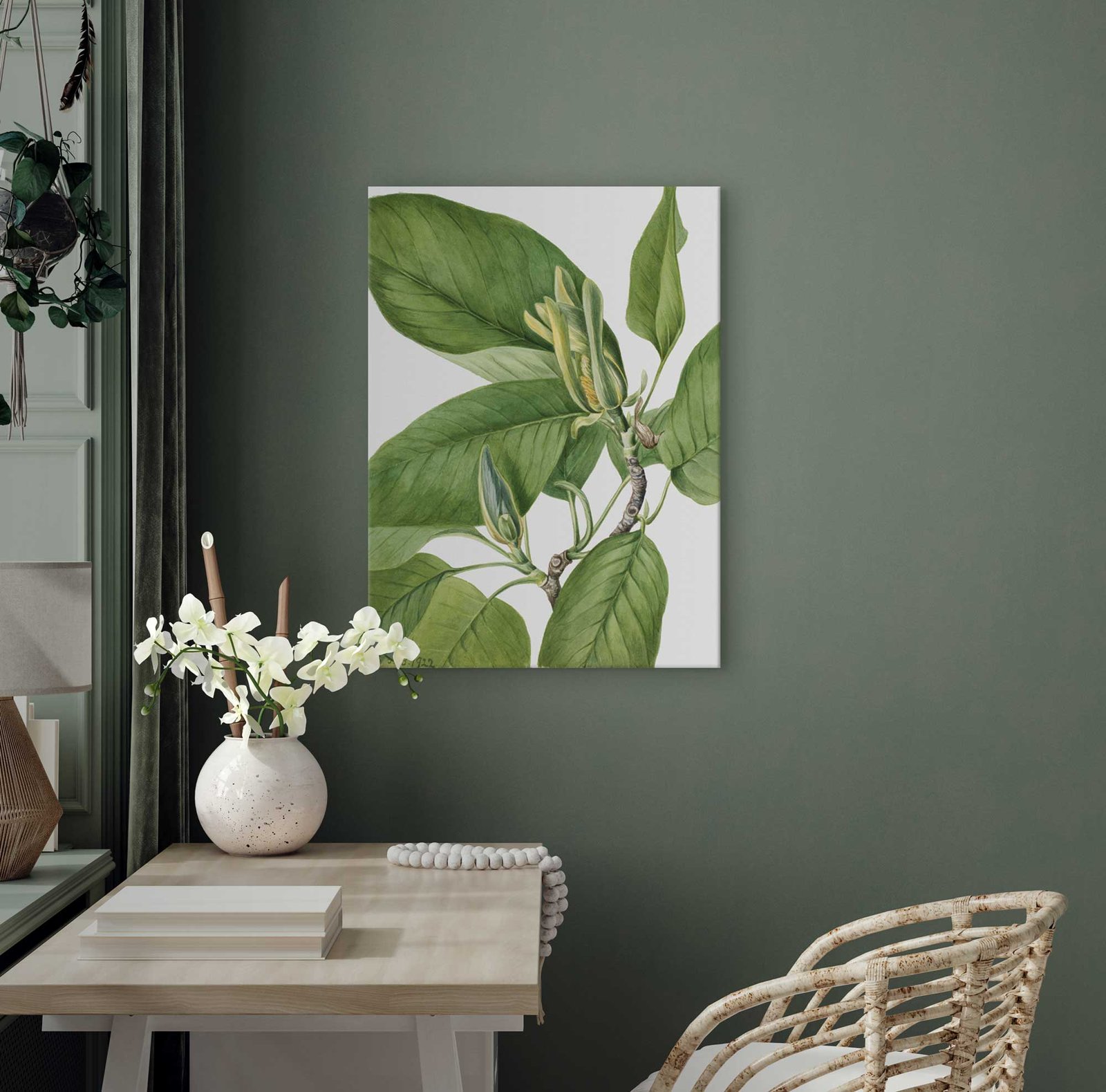181 piesti paveikslai darbo kambaryje - Agurkinė magnolija - Mary Vaux Walcott