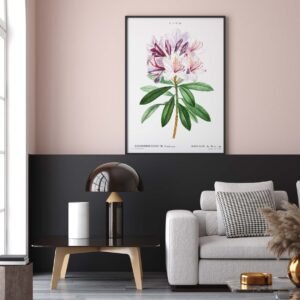 92 plakatai interjerui - Rododendras - Pierre-Joseph Redouté