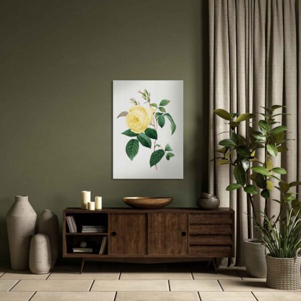 209 paveikslai darbo kambariui - Geltona rožė - Pierre-Joseph Redouté