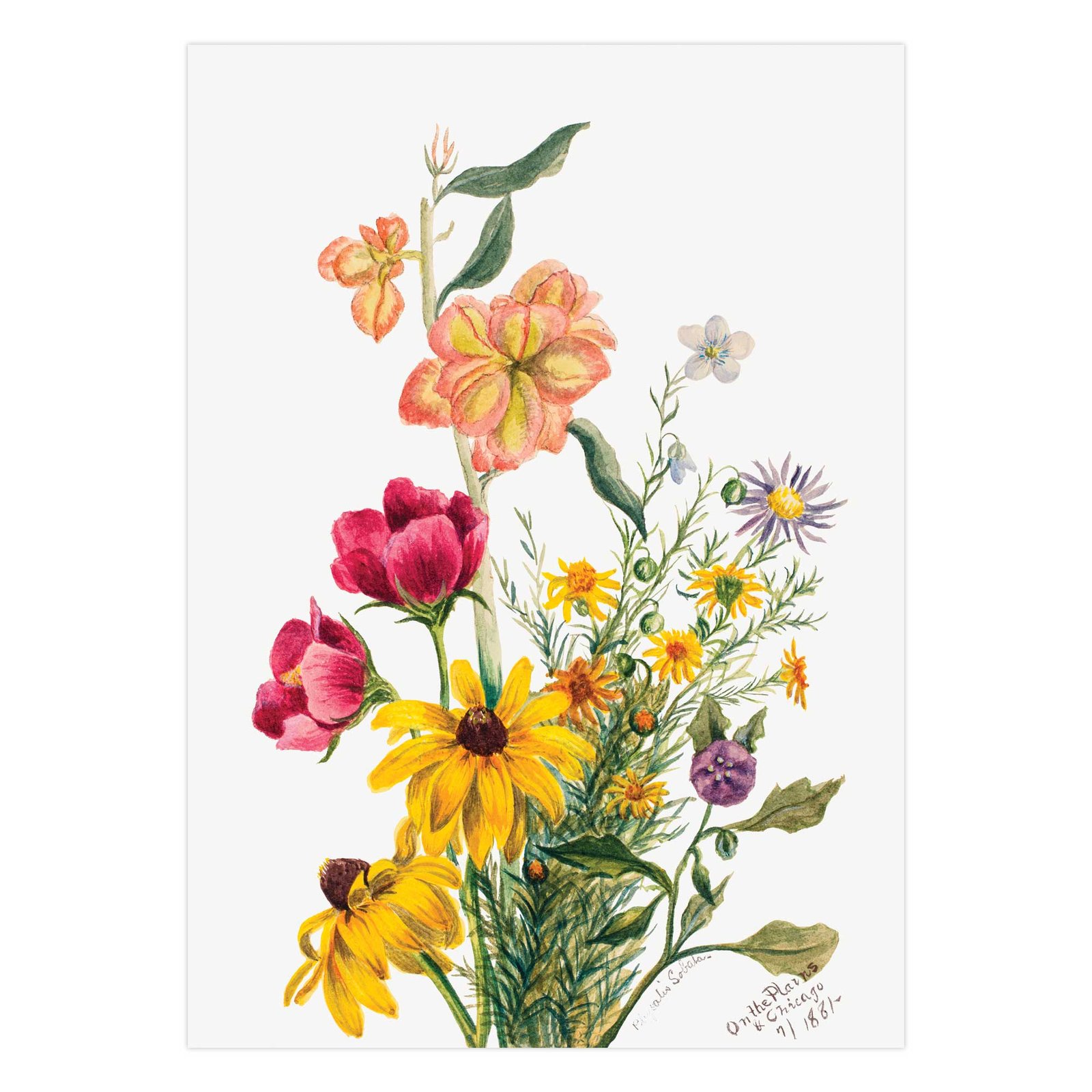 274- paveikslai internetu - Gėlių puokštė - Mary Vaux Walcott