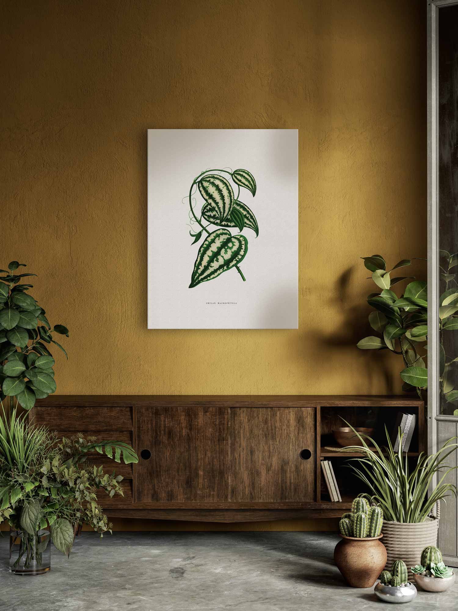 330-paveikslai virtuvei - Smilax macrophylla lapas - Alexander Francis Lydon & Benjamin Fawsett